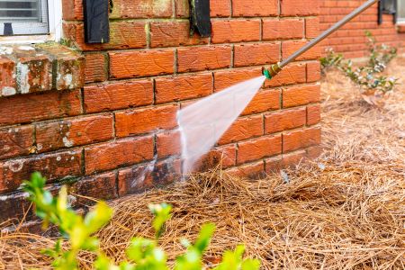 How to Remove Mold, Mildew, and Algae from Your Home Exterior