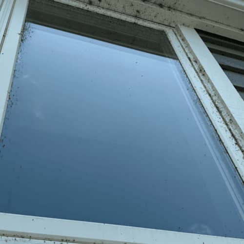 Exterior House Washing